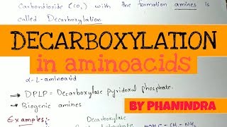 Decarboxylation of Aminoacids  Aminoacids metabolism [upl. by Aderb]