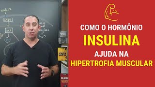 Como o Hormônio Insulina ajuda na Hipertrofia Muscular [upl. by Allain679]