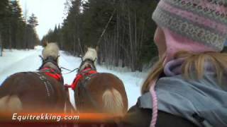 Driving a Horse Drawn Sleigh [upl. by Ayiram]