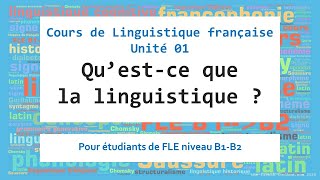 01Questce que la linguistique [upl. by Navnod331]