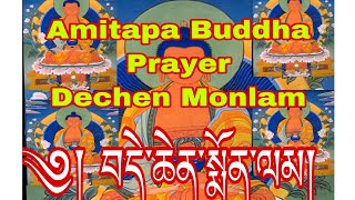 Dechen Monlam Amitapa prayer བདེ་སྨོན། Amitapa Budda Prayer [upl. by Anahir426]