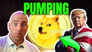 DOGECOIN BREAKING NEWS Dogecoin Pumps with Trump Win Whats Next [upl. by Assena]