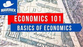 Economics 101  Economics Basics [upl. by Merwyn304]