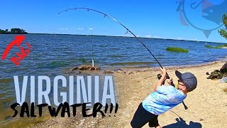 Fishing Virginias SALTWATER GREAT Land Based SPOTS [upl. by Alleunam]