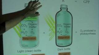 Ocean Productivity  LightDark Bottle Method [upl. by Olympium364]