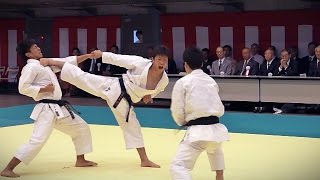 Explosive Karate  Tokyo Budokan Reopening Events 2012 [upl. by Aneris262]