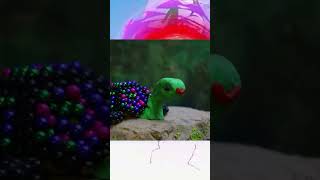 LEGO shorts stopmotion cuckoo trendingshorts trending fypシ゚viral stopmotion fypシ゚ fish [upl. by Marabel79]