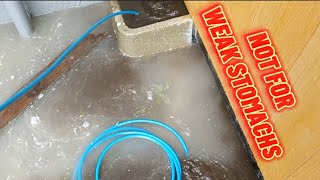 How do you clean drainage blocks at home [upl. by Eirhtug479]