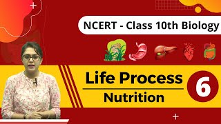 🔴 Life Process Part6 Nutrition In Paramecium  Class X Biology CBSEICSENEET  By MB Mam [upl. by Reizarf]