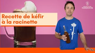 Recette de kéfir à la racinette [upl. by Ahsertal]