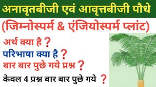 अनावृतबीजी और आवृत्तबीजी पौधे  gymnosperms amp angiosperms  विशिष्ट लक्षण  anavratbijiपौधे [upl. by Walsh]