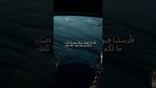 Beautiful Quran Recitation Video To Provide Peace For Your Mind And Soul Dont Forget To Like [upl. by Samoht]