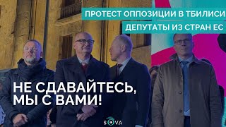 Депутаты из стран ЕС на митинге оппозиции в Тбилиси [upl. by Gnex]