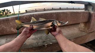 The Secrets of Fishing from Shore in Florida [upl. by Caritta966]