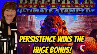 HUGE WIN BONUS LOVING BUFFALO ULTIMATE STAMPEDE [upl. by Andreana740]