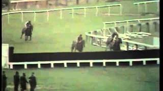 Ten Up The 1975 Cheltenham Gold Cup [upl. by Lekcim]