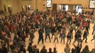 FLASHMOB  central station in BRUSSELS Belgium [upl. by Ralat731]