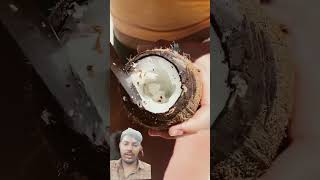 Cocene coconut bushcraft satisfying bushwoman beach bushcamp sand hindi  tamil [upl. by Myrah864]