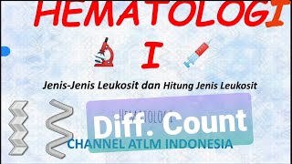 15 Menghitung Jenis Leukosit Diff Count bagi ATLM Analis Kesehatan [upl. by Mairam636]