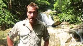 Ben Fogles Sarawak Adventures  Gunung Gading National Park [upl. by Gaudet]