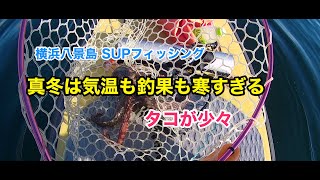 【タコ155kg】SUPフィッシング横浜八景島20211113 [upl. by Casandra]