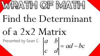 How to Find the Determinant of a 2x2 Matrix [upl. by Jaqitsch]