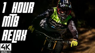 1 HOUR FANTASTIC MTB MIX  Downhill amp Freeride Mountain Biking MTB 2021 4K 39 [upl. by Sezen]