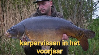 Karpervissen in het voorjaar op een groot parkvijver [upl. by Prem910]