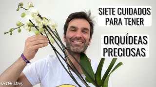 7 CUIDADOS MUY FÁCILES para tener ORQUÍDEAS INCREÍBLES más floración y duración  en20metros [upl. by Enohpets]