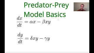 PredatorPrey Model LotkaVolterra Overview and Steady States [upl. by Strohbehn64]