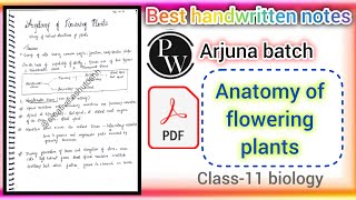 anatomy of flowering plants notesclass 11 biology chapter 6 notesPW notesclass11 Arjuna batch [upl. by Tabatha547]