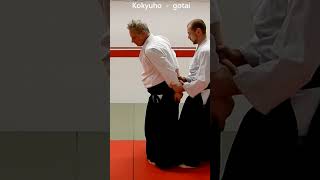 Aikido in slow motion Techniques on wrist grabs from behind USHIRO RYOTEDORI by Stefan Stenudd [upl. by Ardnoek]