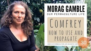 Comfrey how to use harvest and propagate by Morag Gamble [upl. by Annwahs145]