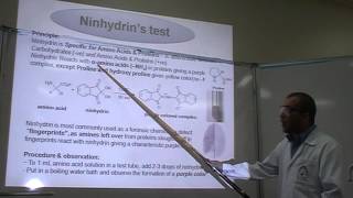 Ninhydrins test Part 1 Identification of Proteins or Amino Acids [upl. by Burns]