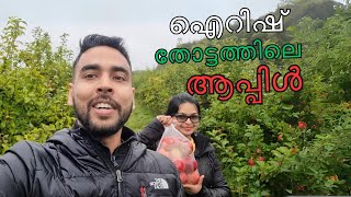 Delightful ApplePicking Adventure  Ireland Malayalam Travel [upl. by Epp578]