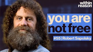 Theres No Free Will What Now  Robert Sapolsky [upl. by Ahsiatal415]