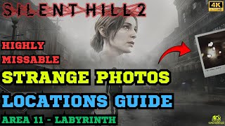 All Strange Photos in Area 11 Labyrinth  Key item for Pieces Unarranged Trophy Guide [upl. by Deryl207]