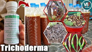 How to Use Trichoderma That You Never Know [upl. by Valleau714]