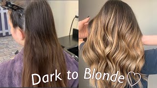 Hand Painted Balayage Ombre Technique  Dark to Blonde Tutorial [upl. by Nhguavahs]