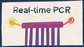 Realtime PCR  Biology tutorial [upl. by Paza]