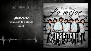 Conjunto Insistente  Acurrucar  2021 [upl. by Agon]