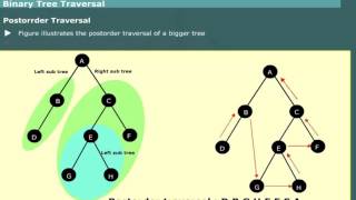 Binary Tree Traversal Preorder Inorder Postorder in Data Structures [upl. by Larner]