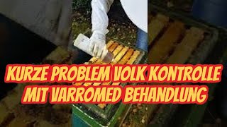 Kurze Problemvolk Kontrolle und Varroa Behandlung mit Varromed  kurz knackig bündig [upl. by Yunfei]