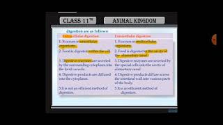 Difference between intracellular and extracellular digestion [upl. by Nahtnamas]