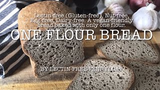 One Flour Bread  Lectinfree Glutenfree Nutfree Vegan friendly Only need one flour to bake [upl. by Ahsad]