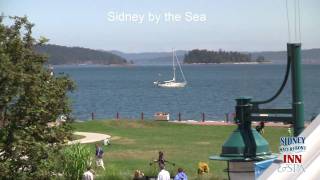 Sidney BC Salish Sea summer time [upl. by Uzial112]