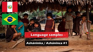 015 Asháninka  Asháninca 1  Language Samples [upl. by Eelyac]