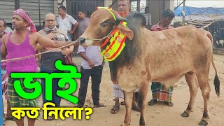 Bhai Koto Nilo ভাই কত নিল ২০২৪  Gabtoli Gorur Haat  Qurbani Cow Price in Bangladesh  Cow part4 [upl. by Anbul249]