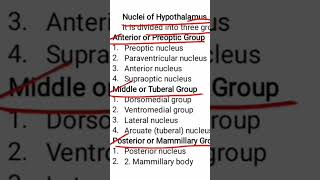 Hypothalamic nuclei [upl. by Martreb]