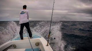 Sight Fishing Huge Manta Rays for Cobia [upl. by Nwahsav]